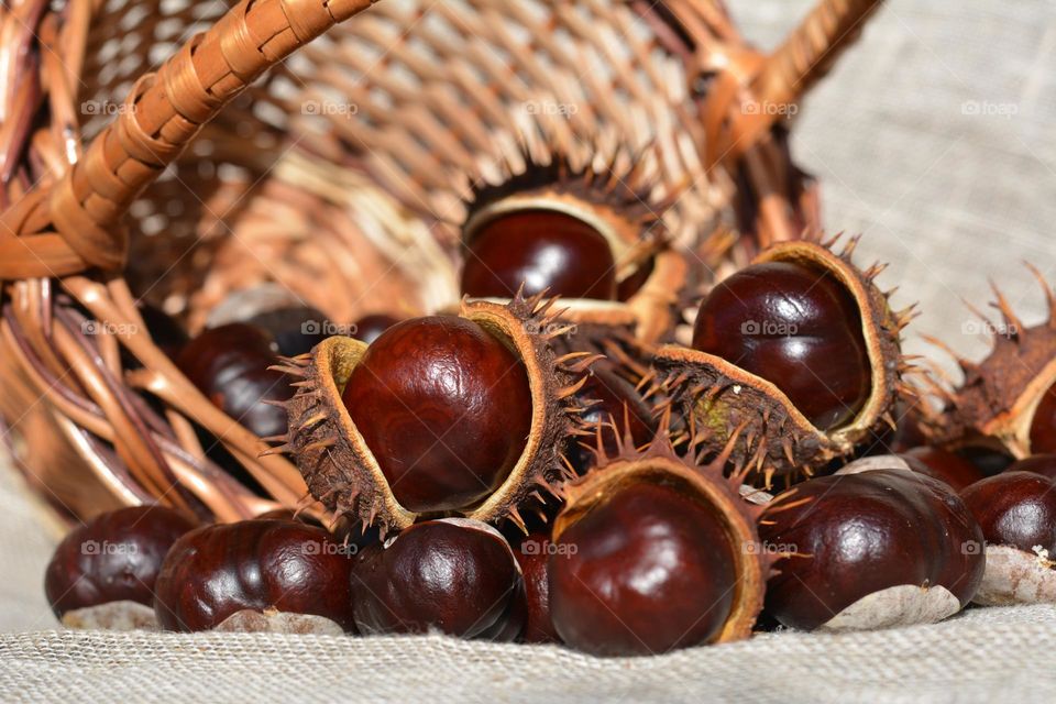 chestnuts in basket 🧺 beautiful texture, autumn time