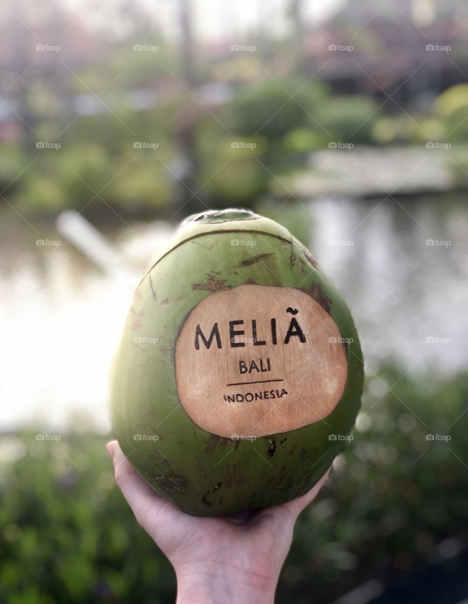 The Melia Bali, located in Nusa Dua, Bali, Indonesia, offers delicious drinks inside of a coconut. 