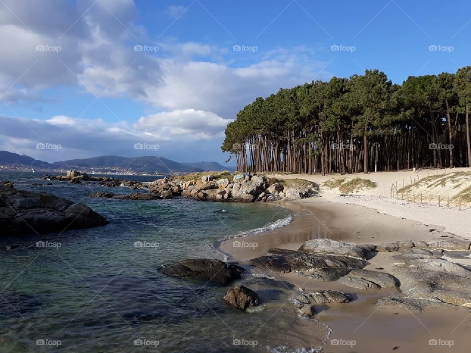 Beautiful cove along the Spanish coast. 
Pine forest meets the ocean.