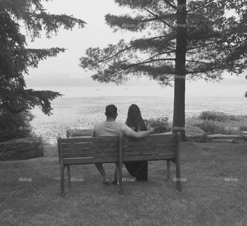 Rear view of a couple sitting on bench