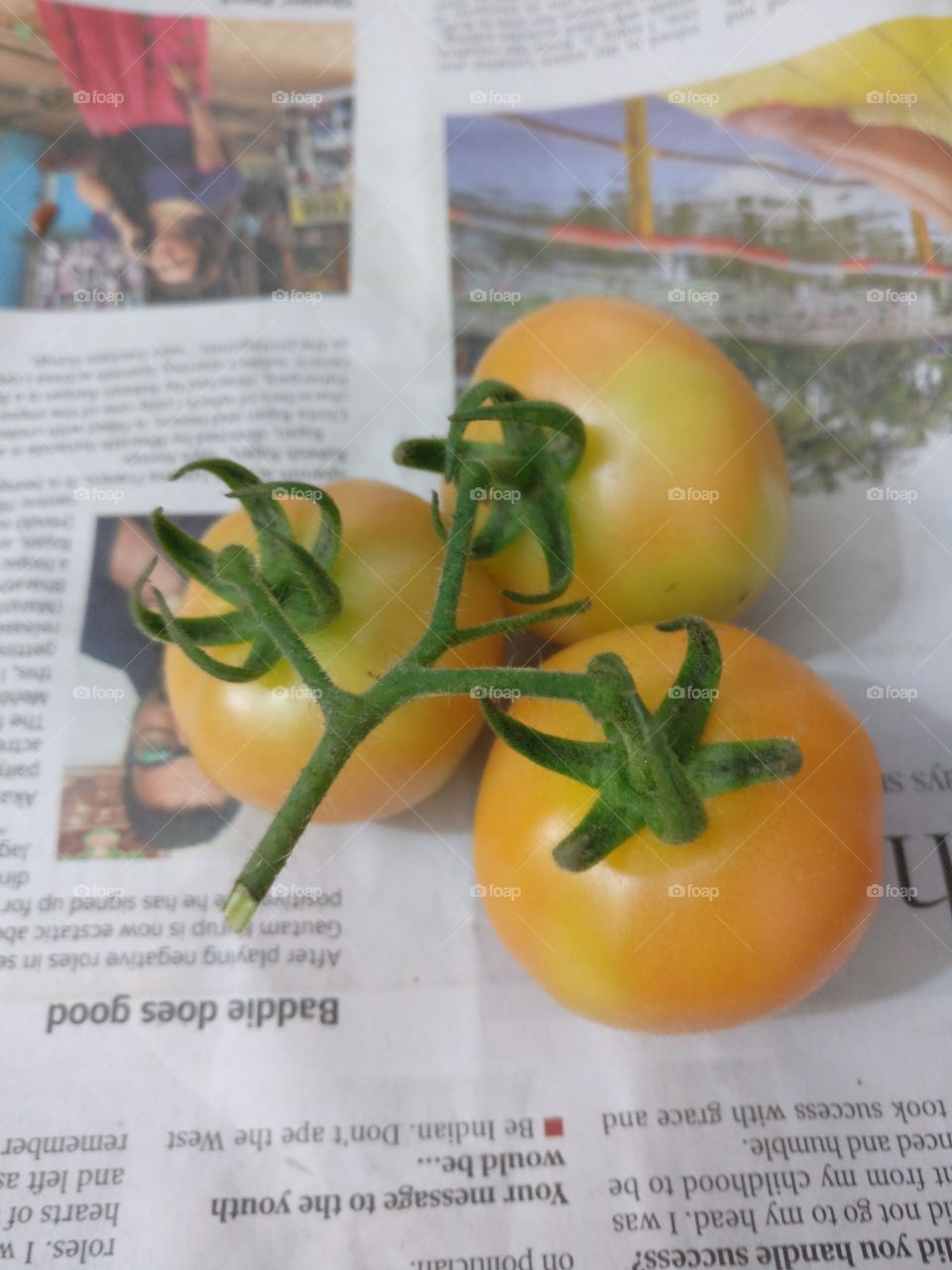 Tomatoes.. Not so ripe