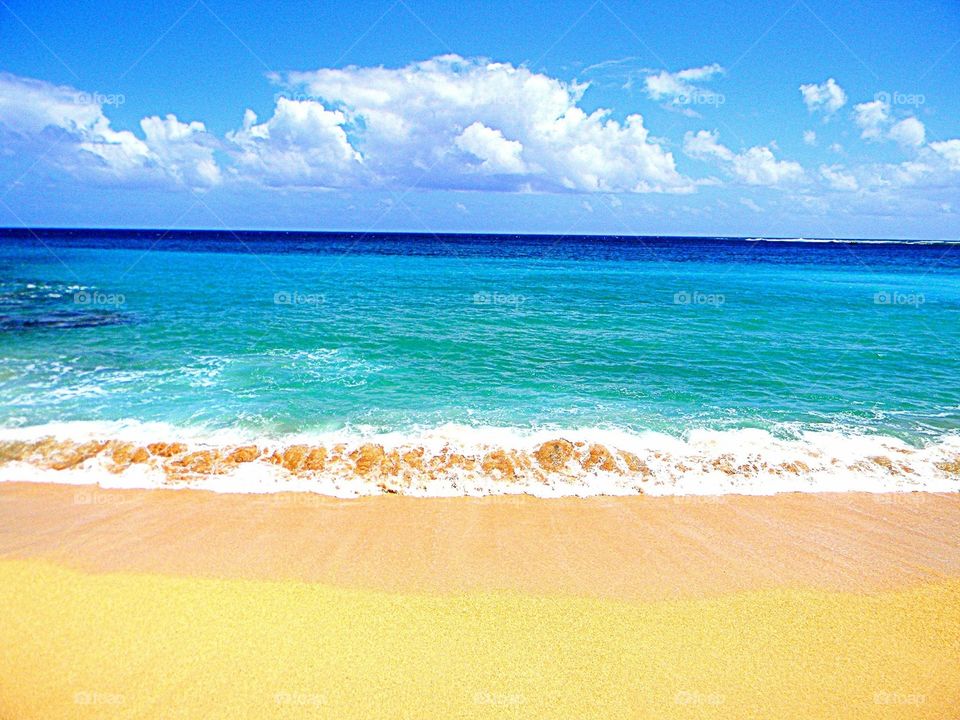 Coast,beach , water , ocean, Hawaii , waves , sand 
