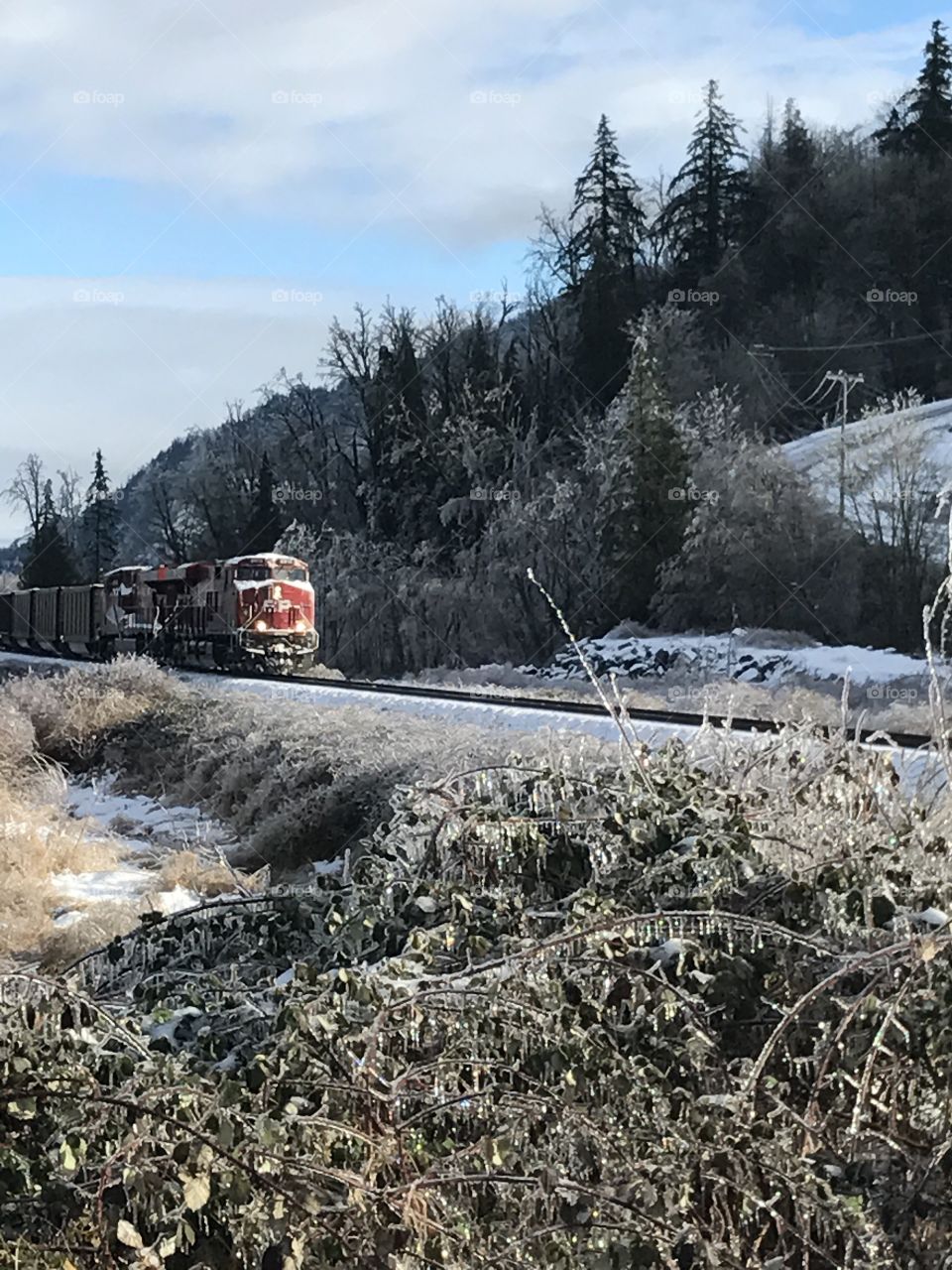 Snowy train