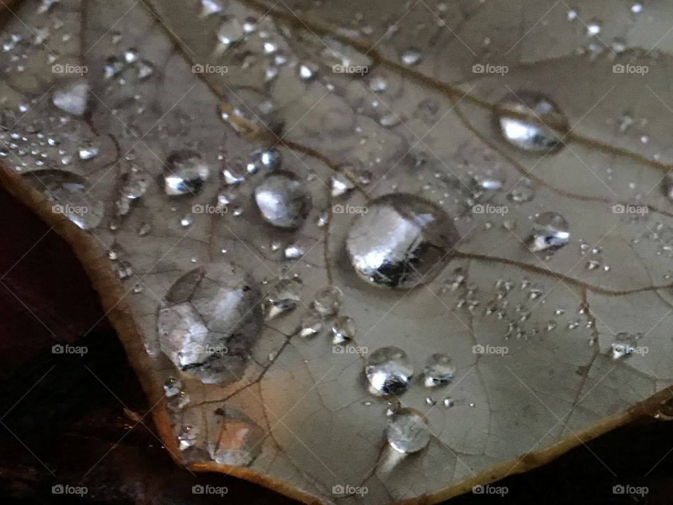 Drops