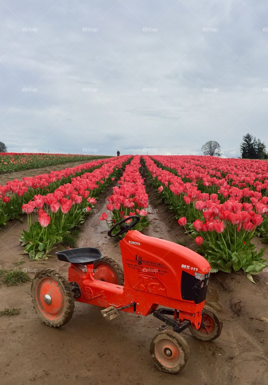 Toy tractor 