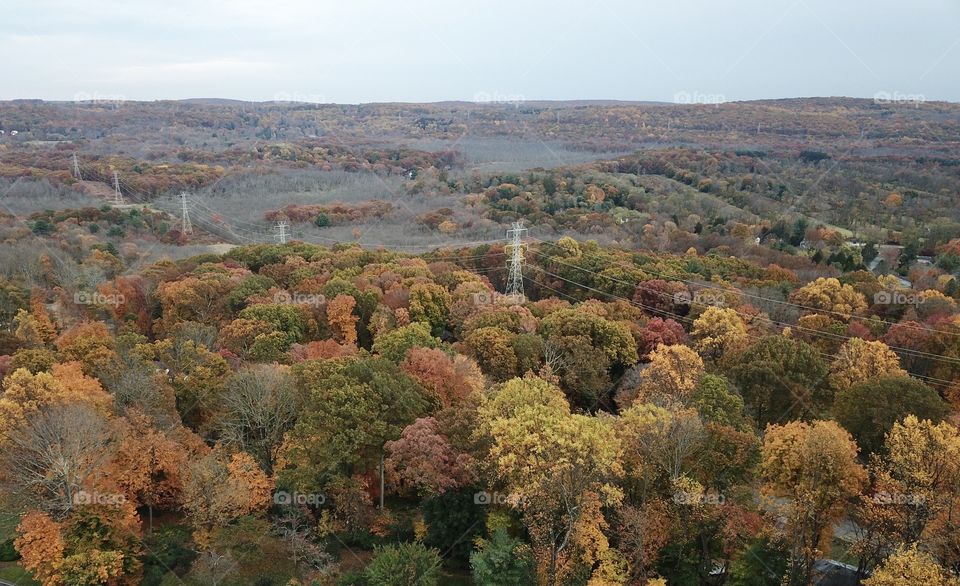 Colors of fall