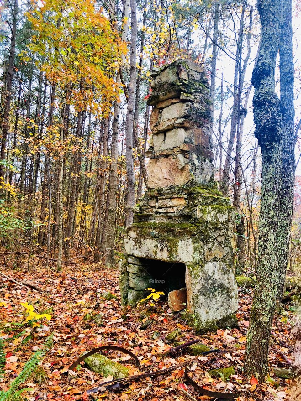 Stacked stone fireplace standing alone in the forest. All the remains of an old cabin taken over by the forest.