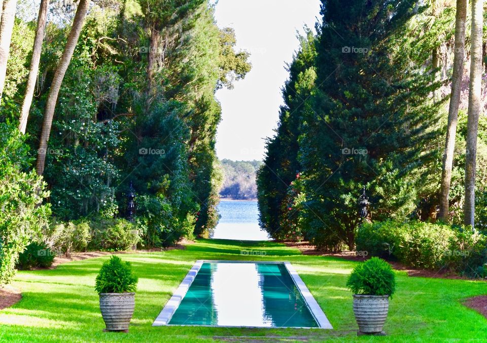 Majestic Maclay Gardens