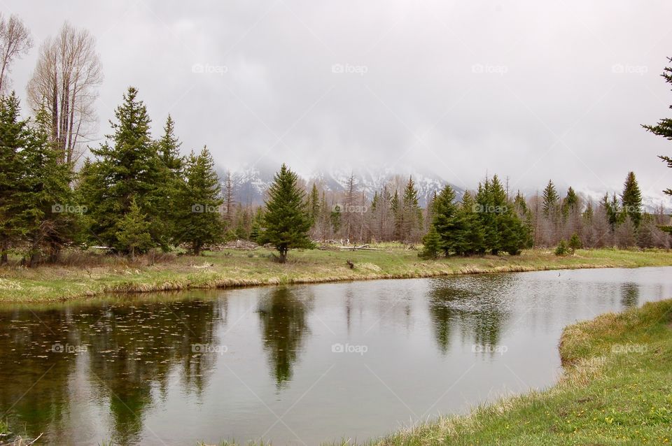 Rain On Beaver Pond