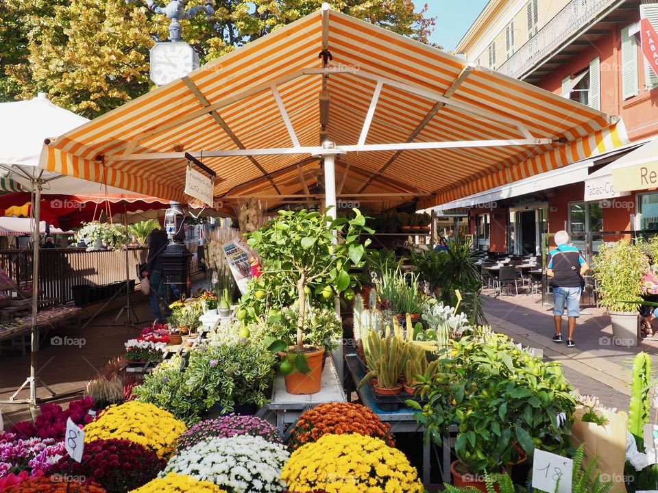 Flower market on the Cours Saleya in the old town of Nice, France.