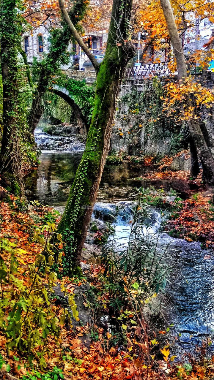 Watching the calming waters of Piges Kryas in Livadeia,Greece