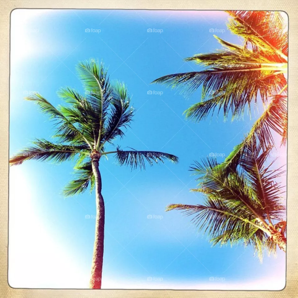Breezy Day