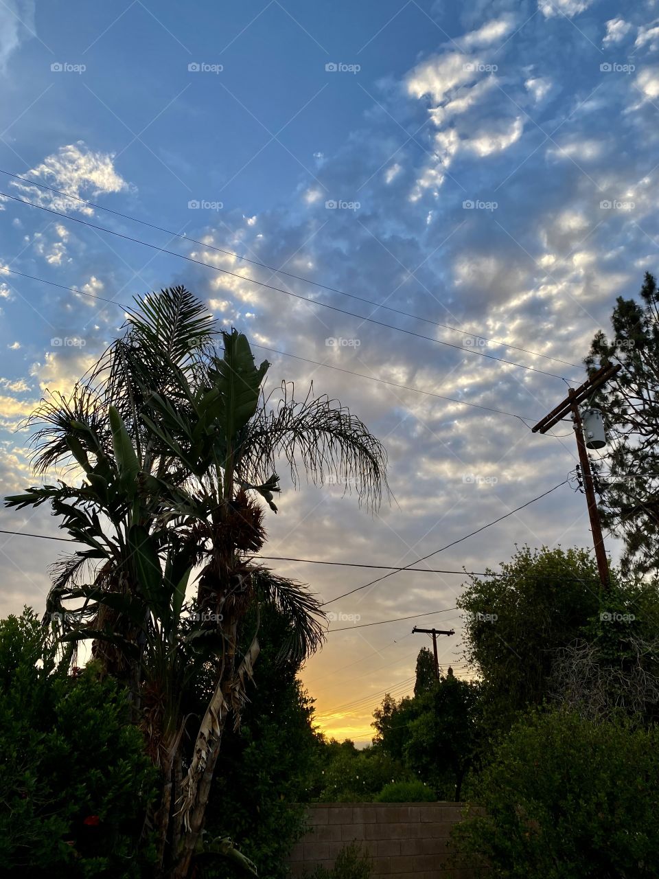 Beautiful sunset in Los Angeles California 