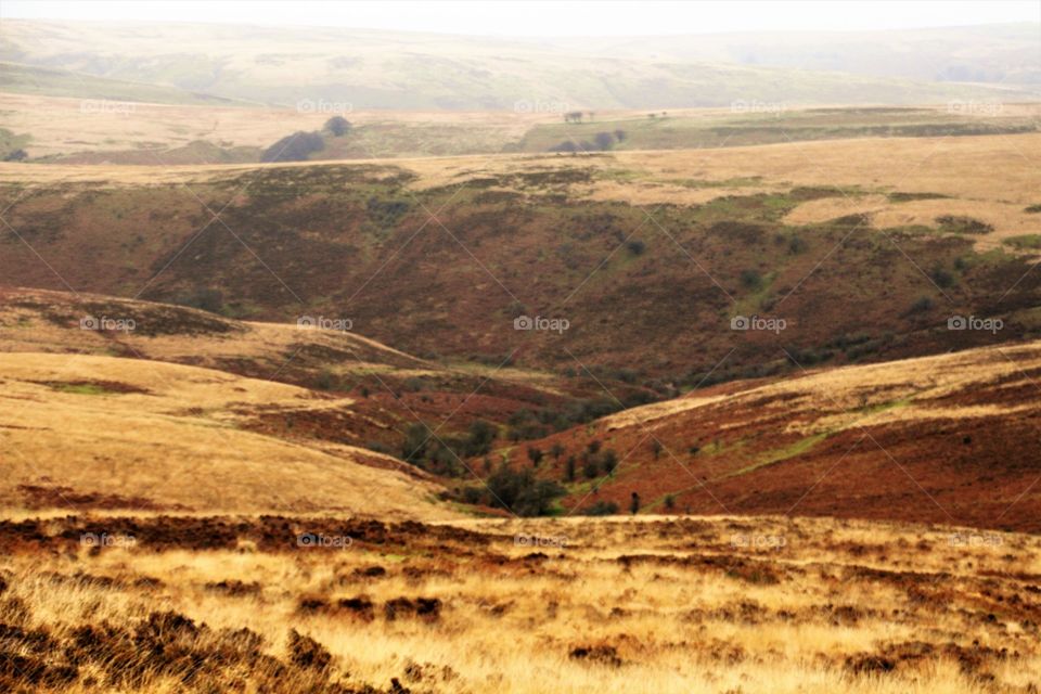 Exmoor in autumn