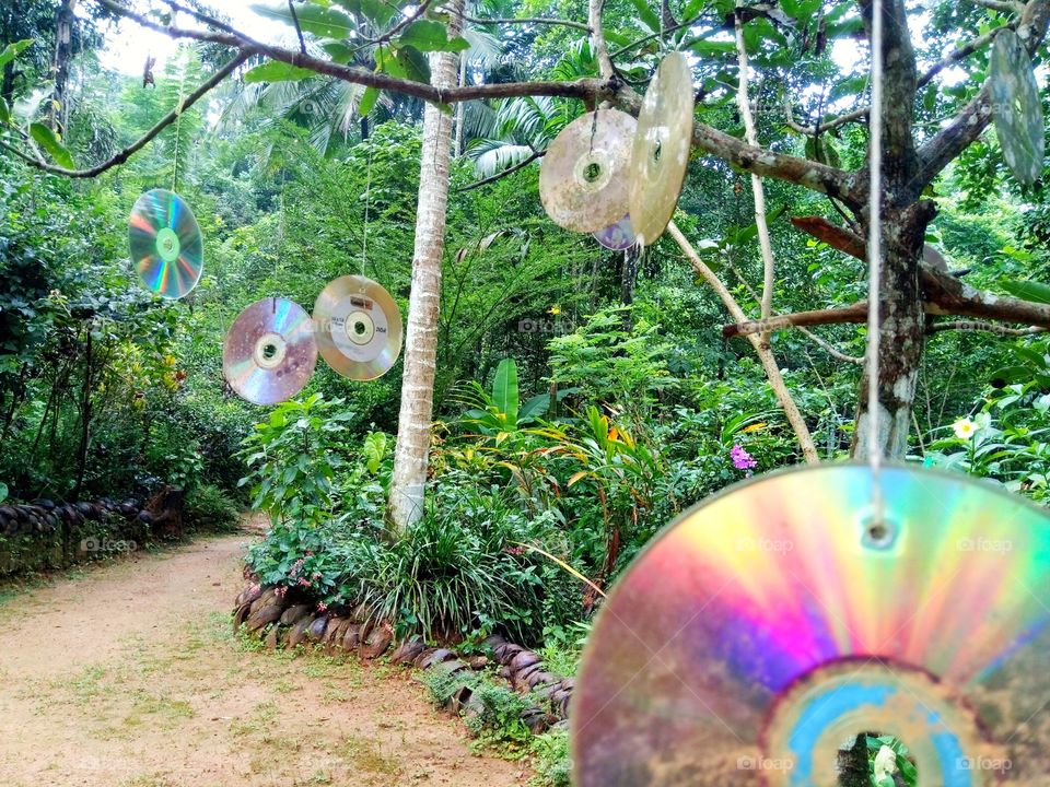 dvd disk tree
