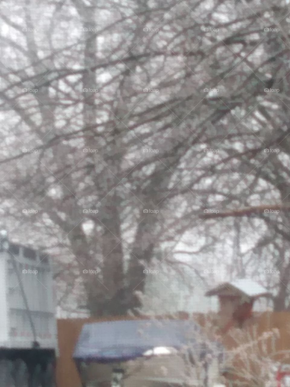 looking like winter is here to stay for awhile where oh where is spring? don't like this