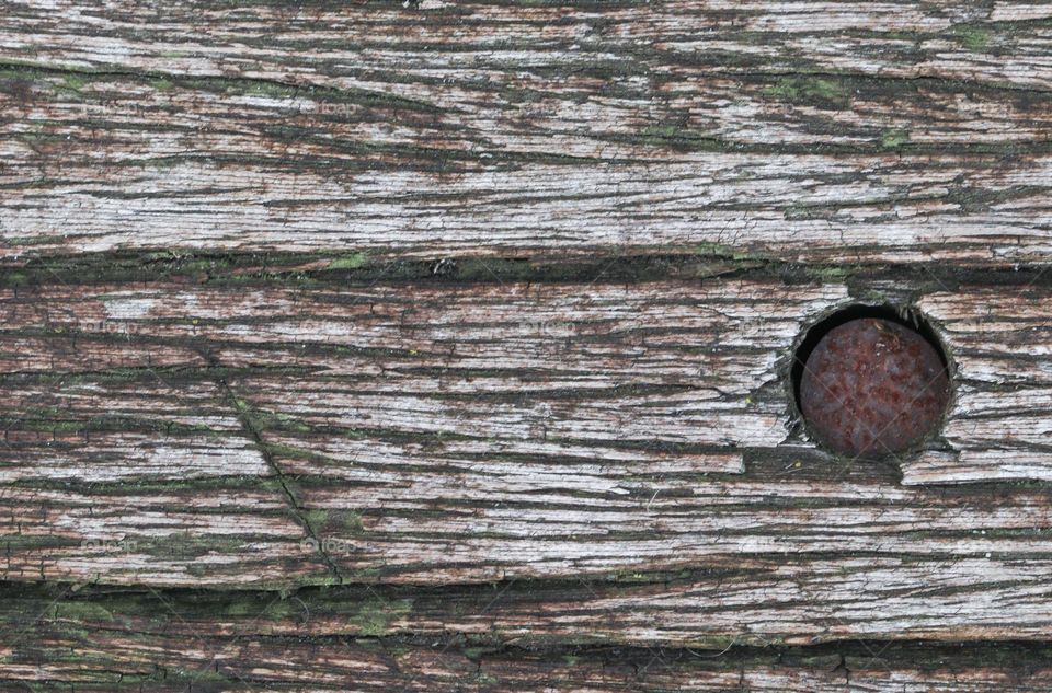 Beautiful texture background of an old wooden bench with green moss and an old rusty nail on the right, flat lay close-up. The concept of backgrounds, textures, wallpapers, wood.