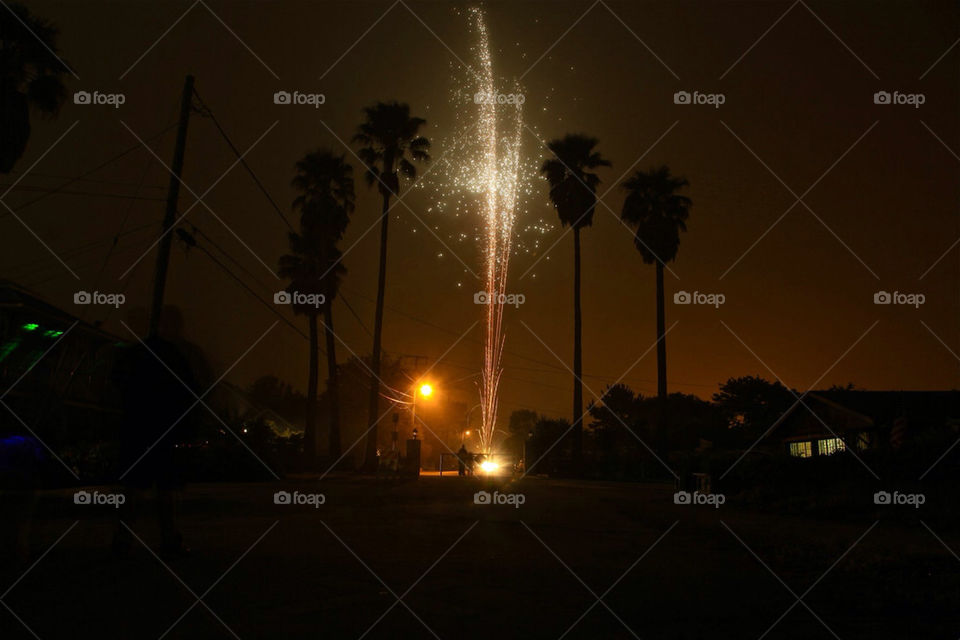 light night celebration palm trees by Sheldonsteere