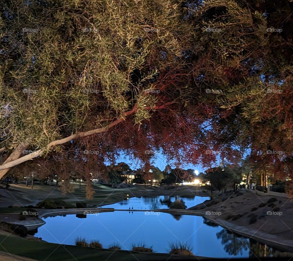 A Relaxing Walk On Spring Evening in Las Vegas Nevada