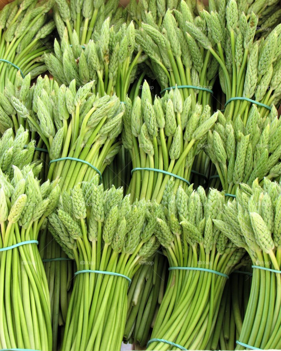 Asparagus