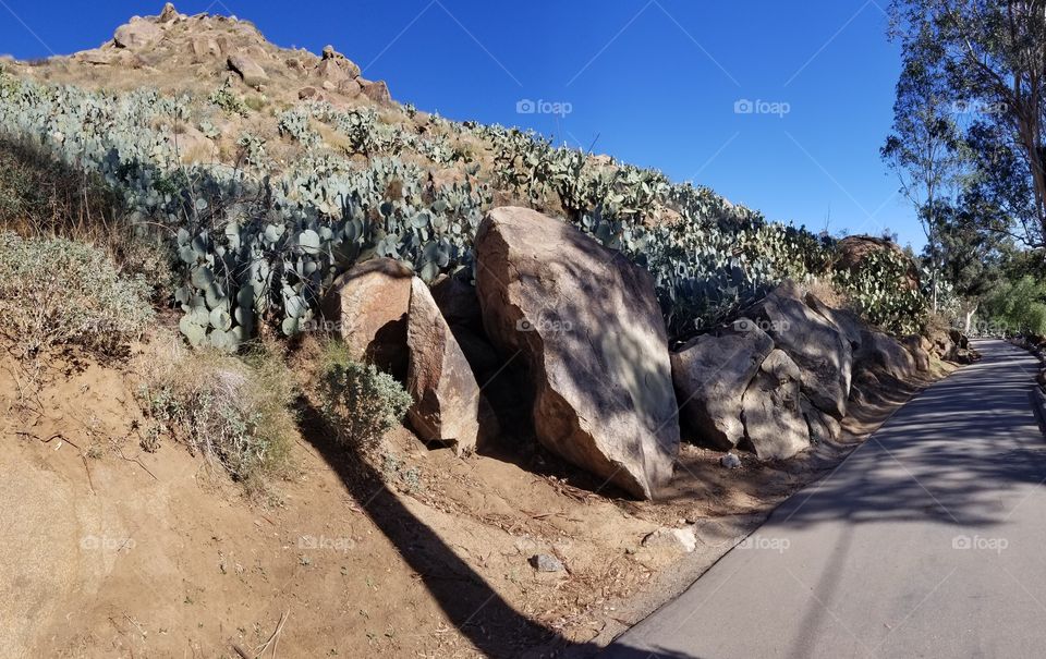 Cactus Rock Hill