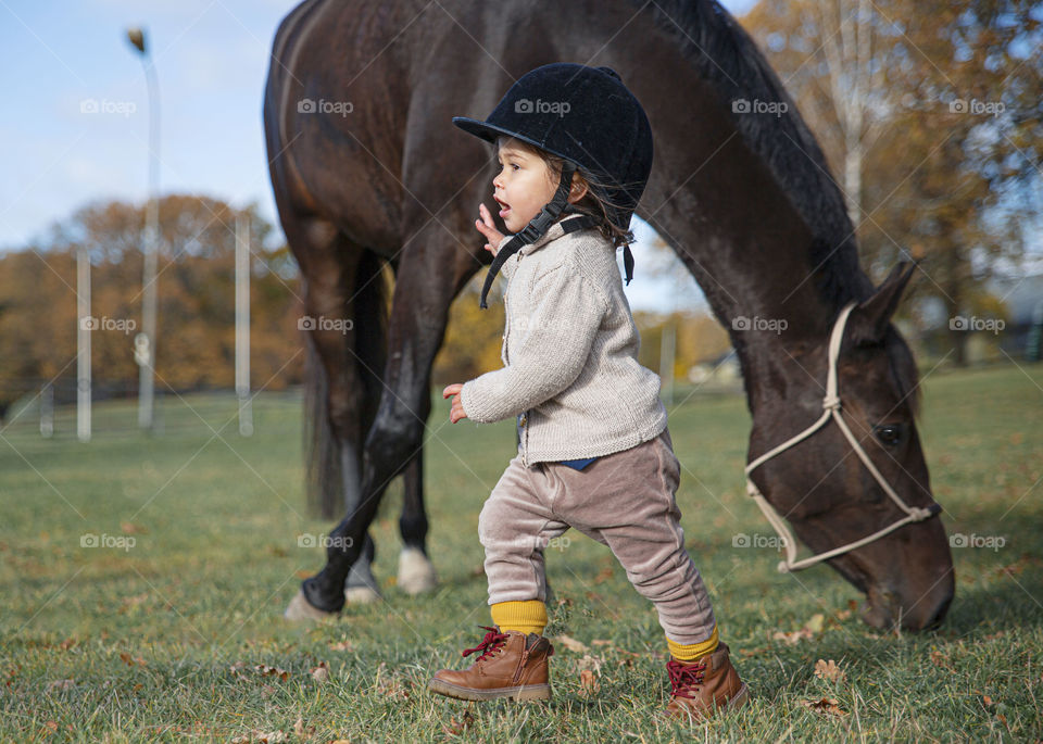 Adorable cute little baby girl with riding helmet running with a dark brown horse feeding from green grass on an autumn day