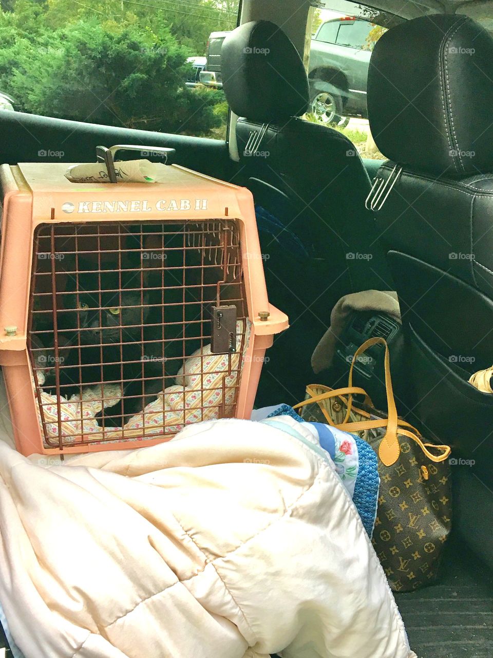 Cat in pet crate on car backseat.