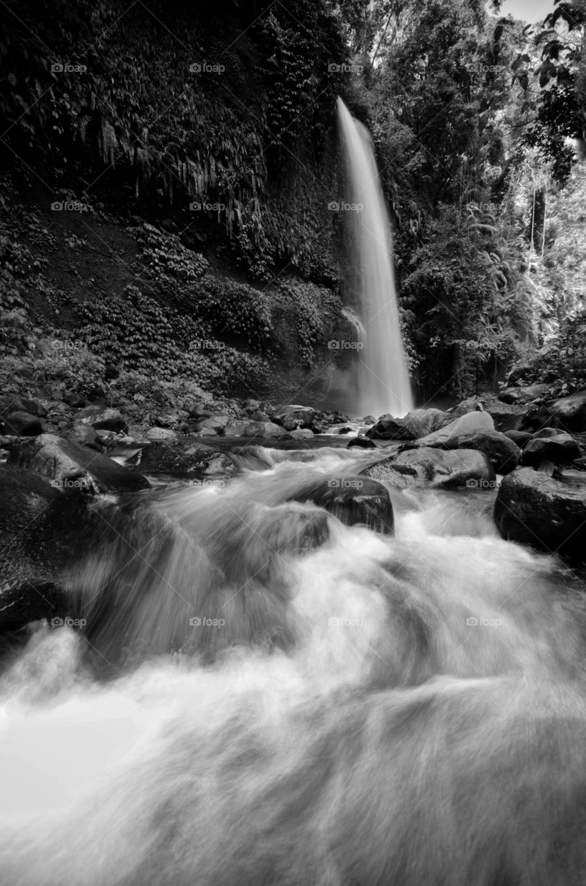 Layered water flows with cool air and green scenery are attractions that you can enjoy when you visit Sendeng Gile waterfall in Lombok, Indonesia. Motion blur and soft focus due to Long Exposure Shot. Black and white photography.