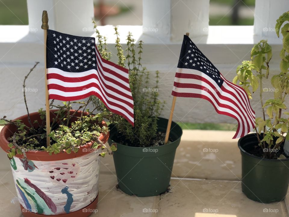 Flags in flower pots