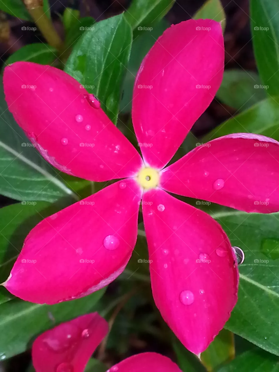 nature