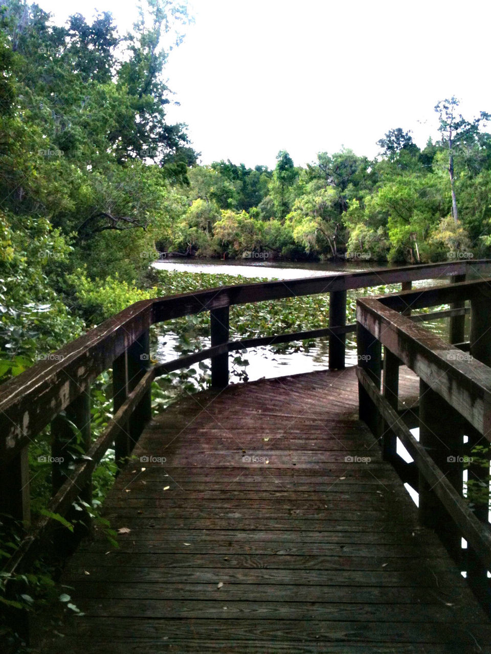 WALKWAY OVER WATER