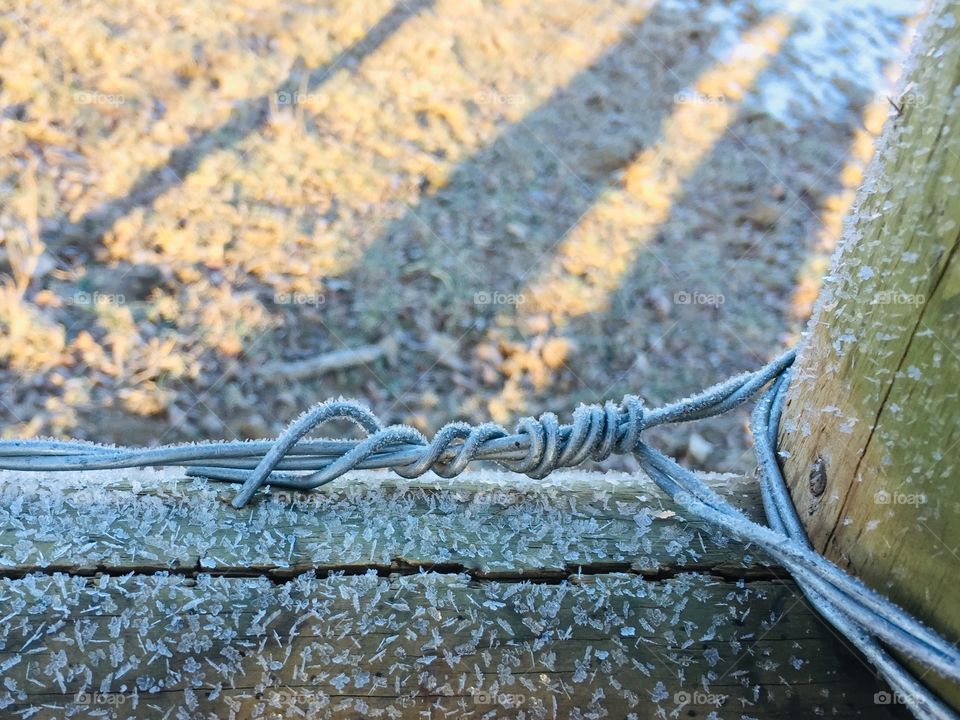Closeup of twisted wire and frost on wooden fence against a a blurred background of shadows of tree trunks on dry pasture grass 