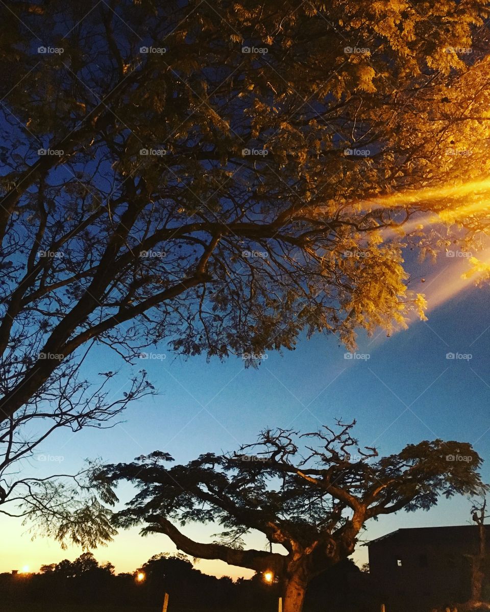 🌅Desperte, #Jundiaí, parte 2:
Cores vivas iluminando a 3a feira. 
🍃
#sol #sun #sky #céu #photo #nature #morning #alvorada #natureza #horizonte #fotografia #pictureoftheday #paisagem #inspiração #amanhecer #mobgraphy #mobgrafia #FotografeiEmJundiaí