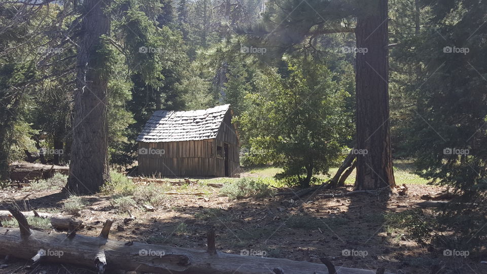 Authentic pioneer cabin