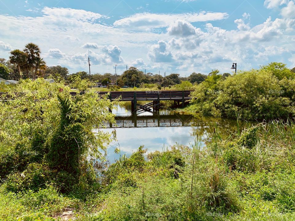 Urban Nature Water With Bridge At The Draa Field Stormwater Park In The City For The Ecosystem To Provide A Water Quality Benefit To The Indian River Lagoon And To Reduce Flooding Within The Basin, In Florida.