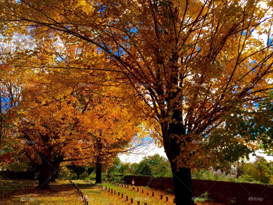 Civil War Cemetery 