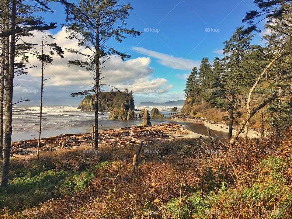 Ruby Beach, Olympic Peninsula, Washington State Coast