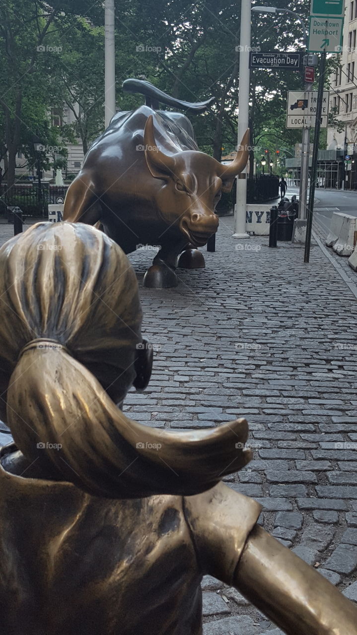 Fearless Girl confronting the Bull!