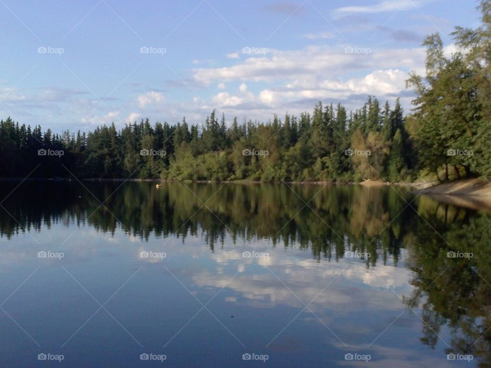 lake reflection