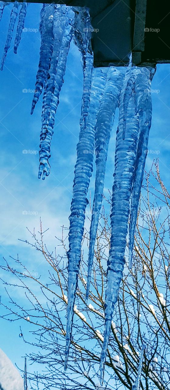 Blue Icicles