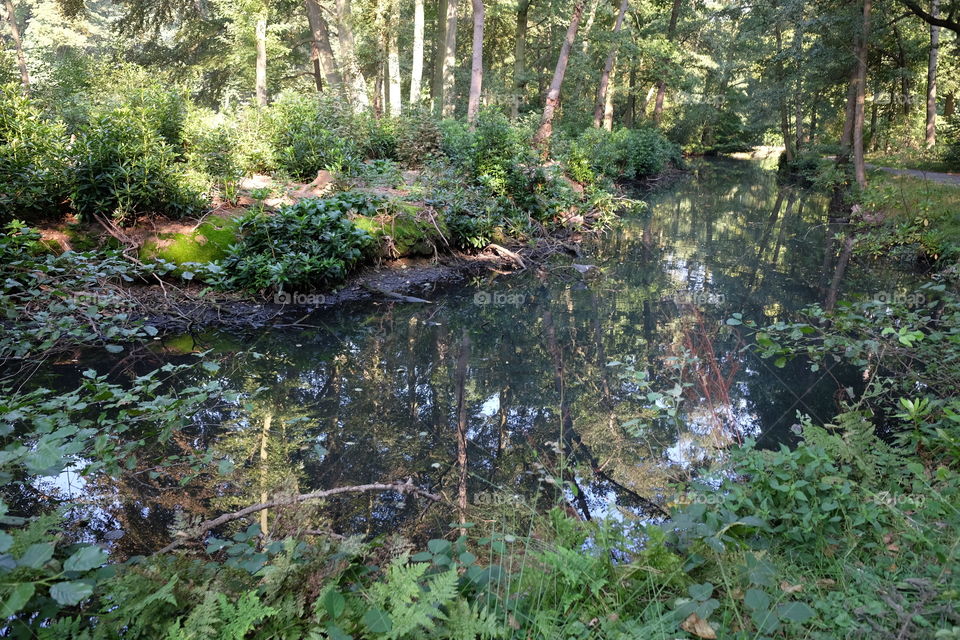 In a park in Antwerp