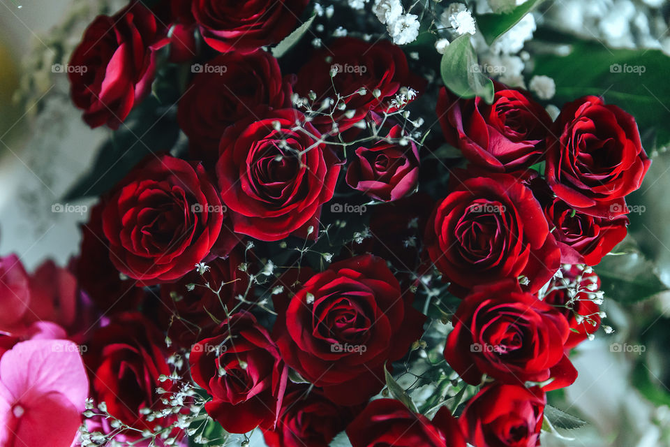 Flora. Roses. Bouquet.