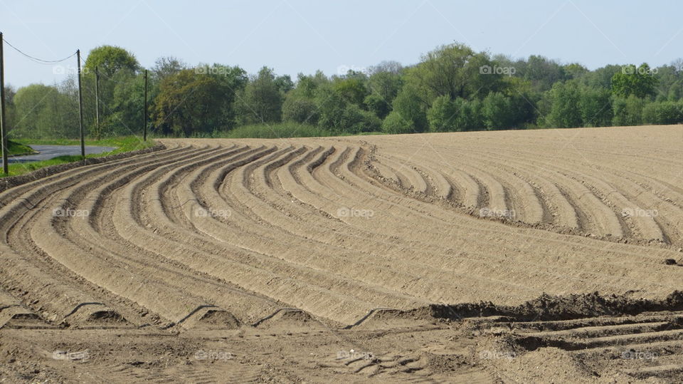 agricultural