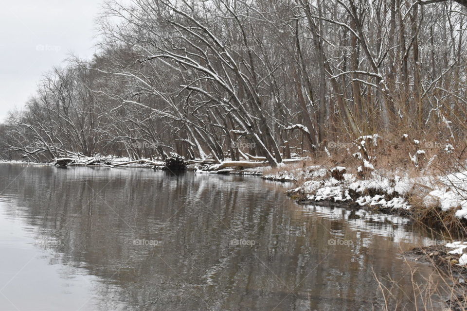 Winter day along the river shows the trees soon to be taken as they lean towards the water.