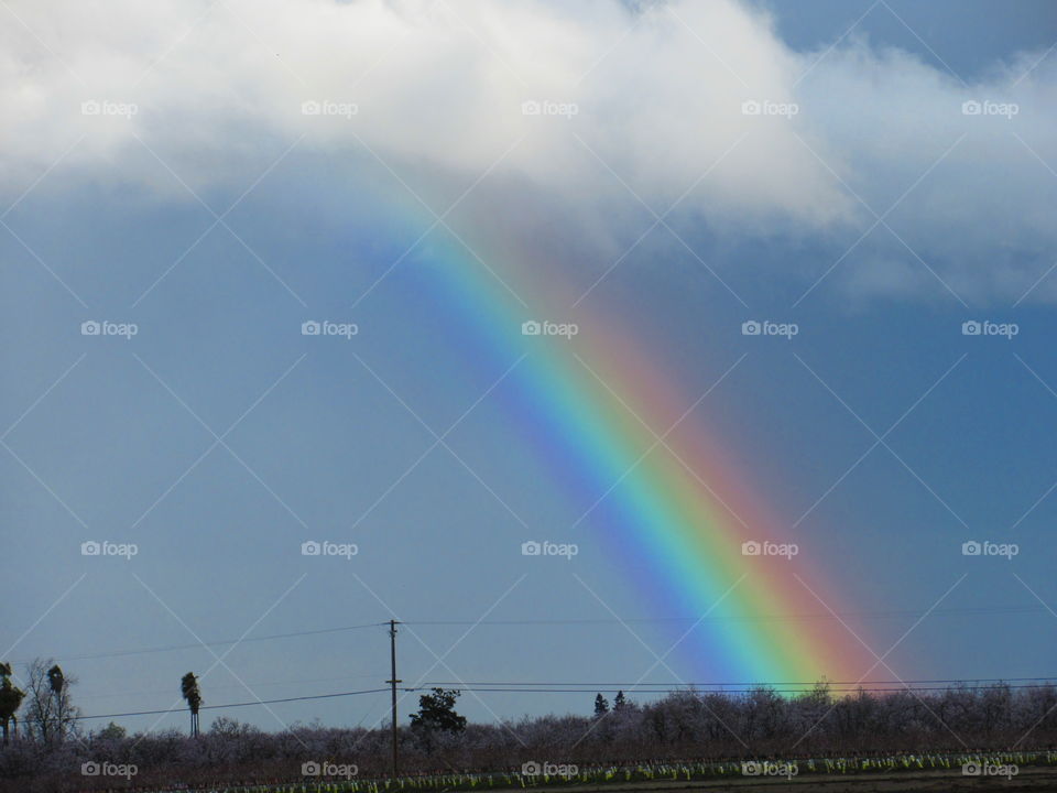 colorful rainbow