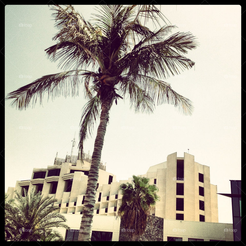 Jebel Ali beach hotel