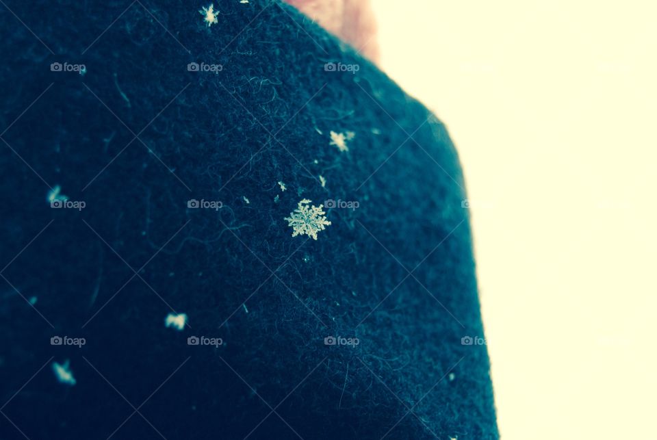 Snowflakes are incredible, aren't they?