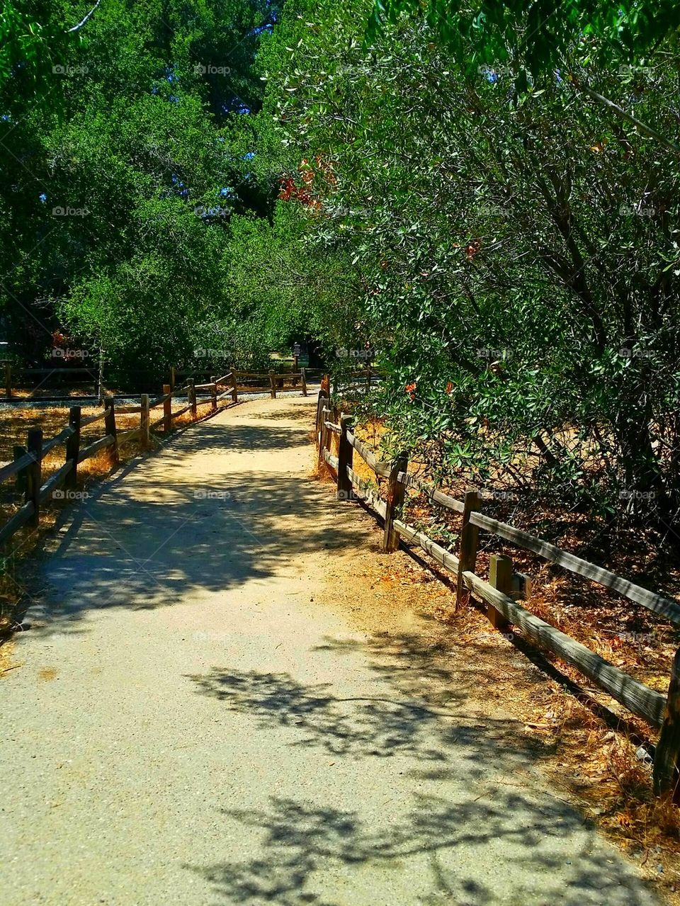 path