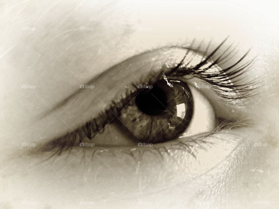 Sepia tone closeup view of twelve year old girl's left eye