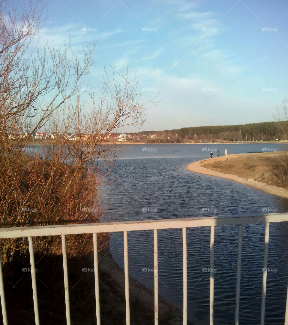 Water, Landscape, Tree, Winter, Reflection